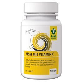 Raab Vitalfood MSM mit Vitamin C Kapseln 90 Stk