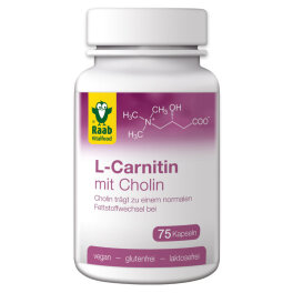 Raab Vitalfood L-Carnitin mit Cholin Kapseln 75 Stk.