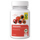 Raab Vitalfood BIO Guarana Premium-Kapseln, 80 St. à 500 mg 40g